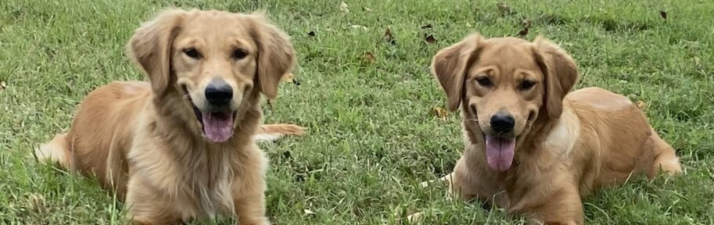 Lucy and Rosie